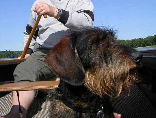 木崎湖モダンボートサップ愛犬オプション