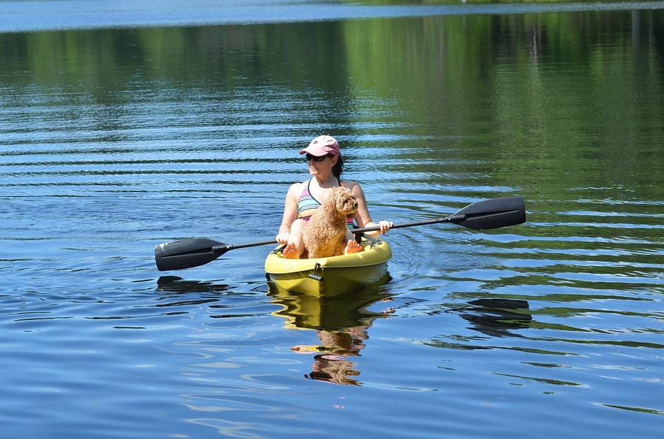 木崎湖モダンボートサップ愛犬オプション
