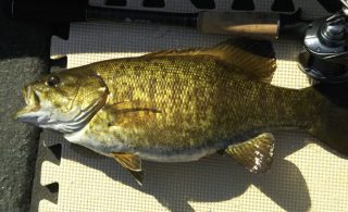 木崎湖モダンボートバス釣果