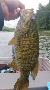 木崎湖モダンボートバス釣果