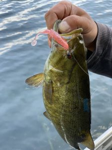 木崎湖モダンボートバス釣果