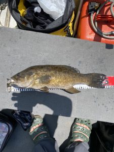 木崎湖モダンボートバス釣果