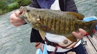 木崎湖モダンボートバス釣果