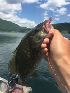 木崎湖モダンボートバス釣果