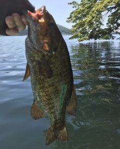 木崎湖モダンボートバス釣果