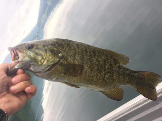 木崎湖モダンボートバス釣果