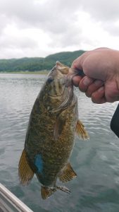 木崎湖モダンボートバス釣果