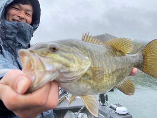 2021年4月バス釣果まとめ