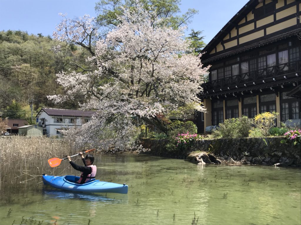 木崎湖の【隠れ】桜の名所！SUPかカヤックでしか行けない秘密の場所