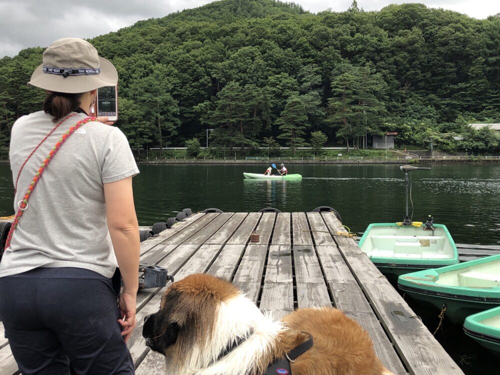 愛犬と楽しむ木崎湖カヤック本日もご利用いただきました！