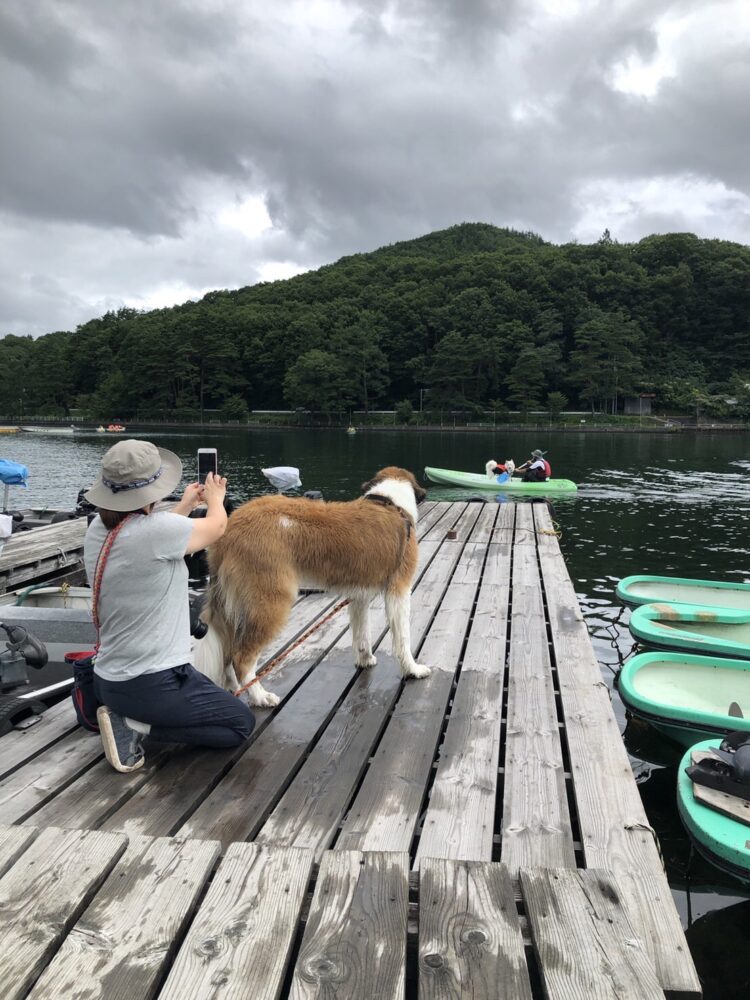 愛犬と楽しむ木崎湖カヤック本日もご利用いただきました！