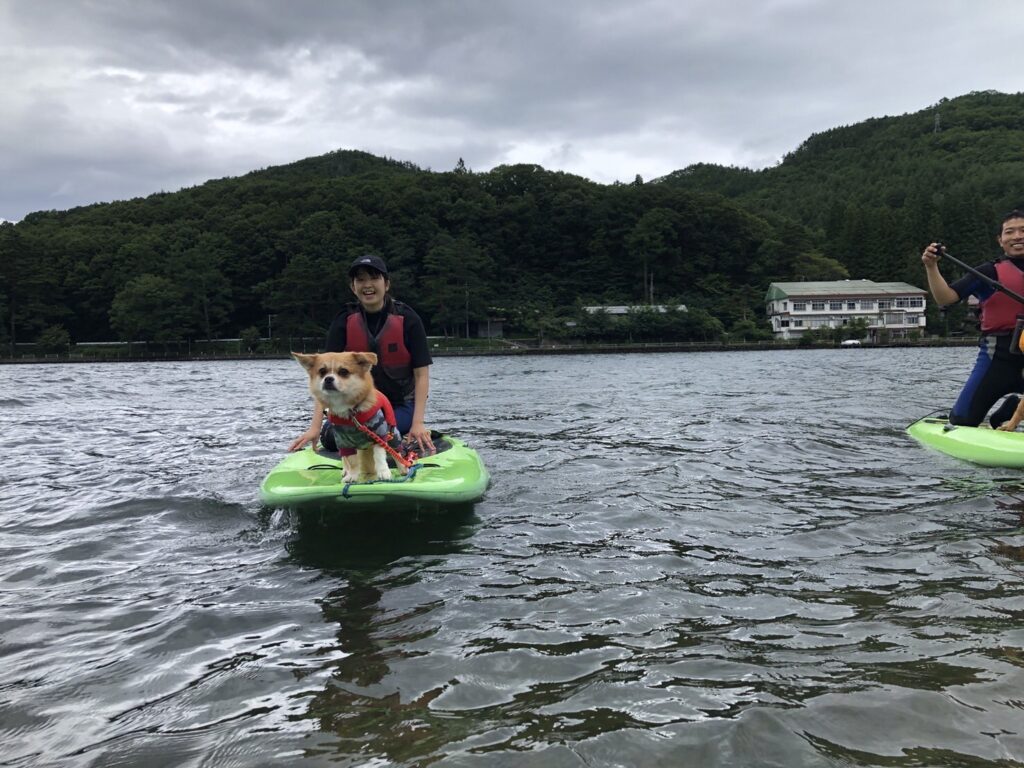 松本、白馬、安曇野、黒部エリアからアクセス良し！木崎湖のサップ愛犬と楽しむプラン今週もご利用いただきました！