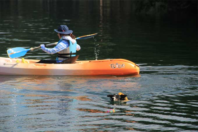 木崎湖モダンボート愛犬オプション