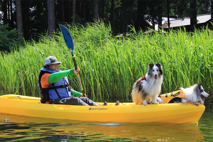 木崎湖モダンボート愛犬オプション