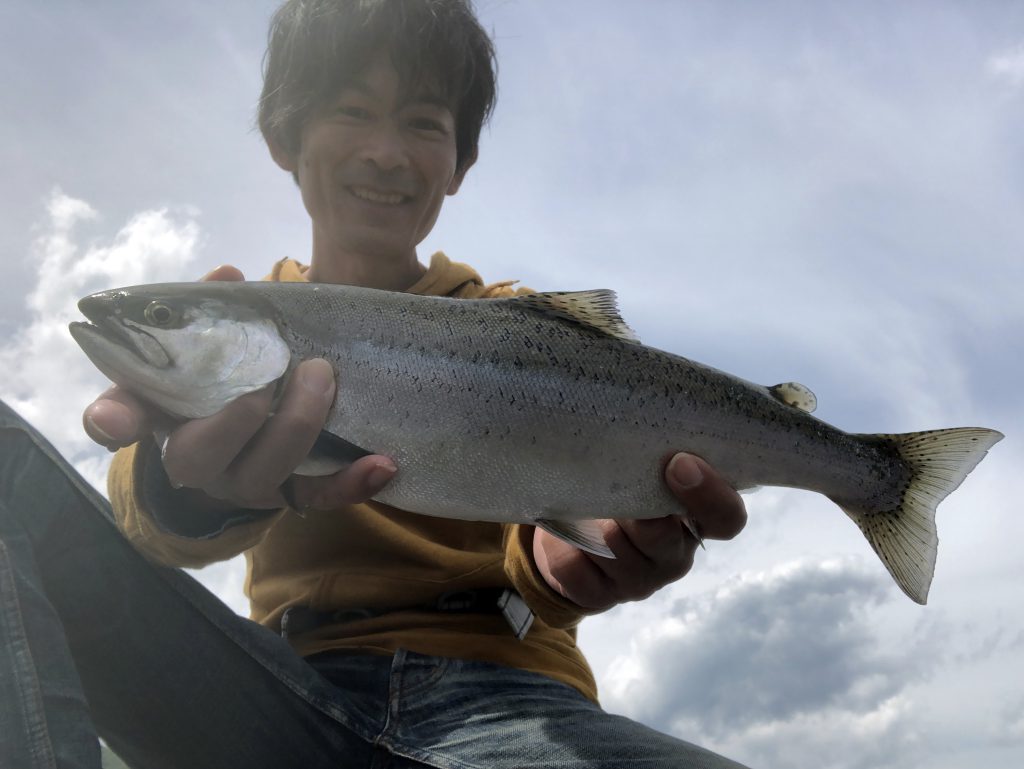 キザキマスは長野県木崎湖で釣れる幻の魚