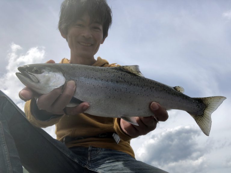 キザキマスは長野県木崎湖で釣れる幻の魚