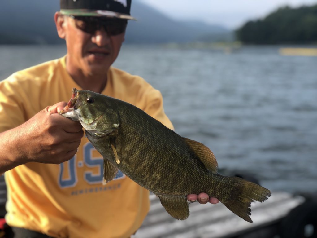 木崎湖バス釣果情報　8/29