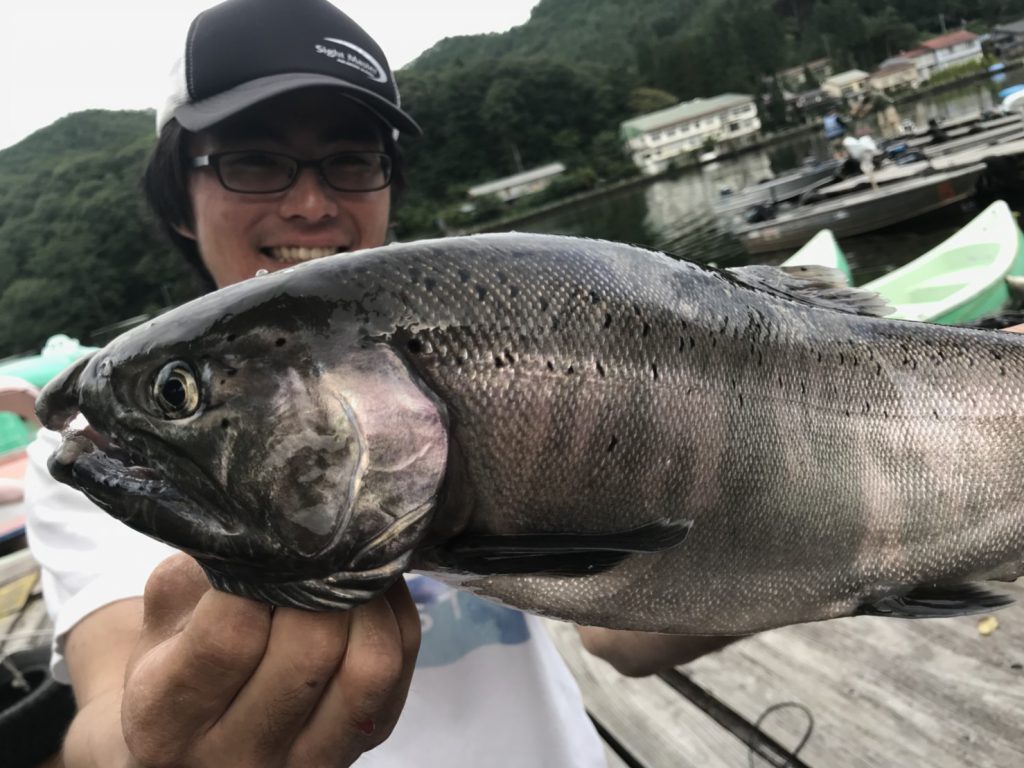 木崎湖キザキマス釣果情報　9/13