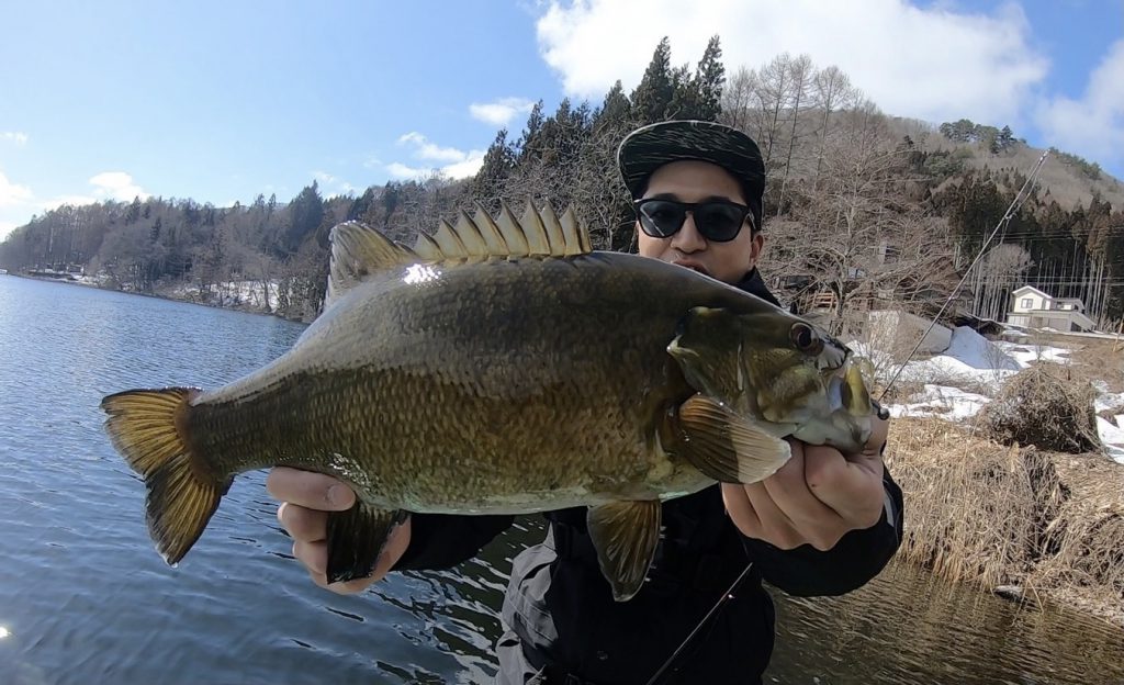 バス釣果