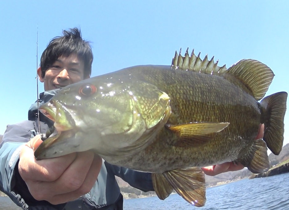 木崎湖バス釣果情報　4/20