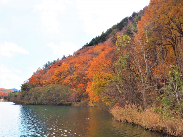 木崎湖はこれから紅葉シーズンへ！