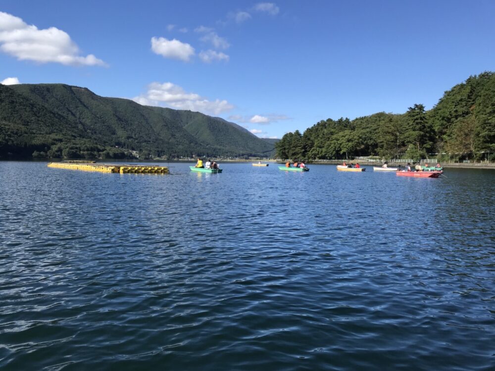 木崎湖ワカサギ釣果情報　10/15