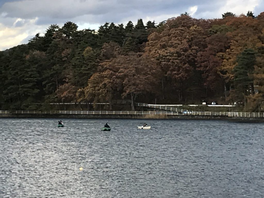 木崎湖ワカサギ釣果情報　11/11