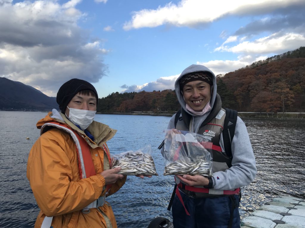 木崎湖ワカサギ釣果情報　11/15