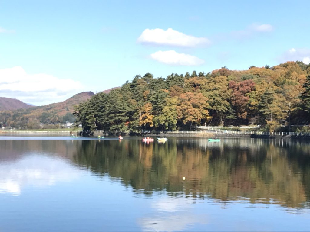 木崎湖ワカサギ釣果情報　11/4