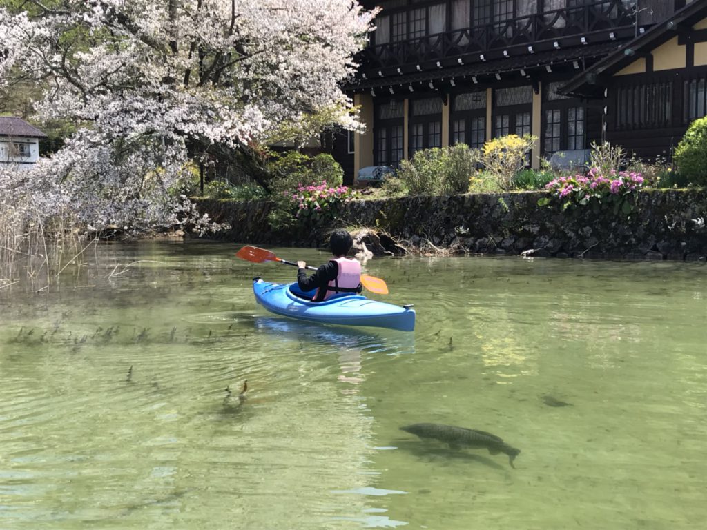 木崎湖の【隠れ】桜の名所！SUPかカヤックでしか行けない秘密の場所