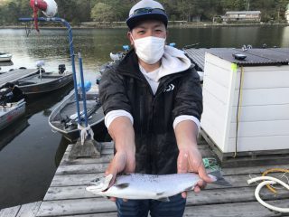 キザキマスは長野県木崎湖で釣れる幻の魚