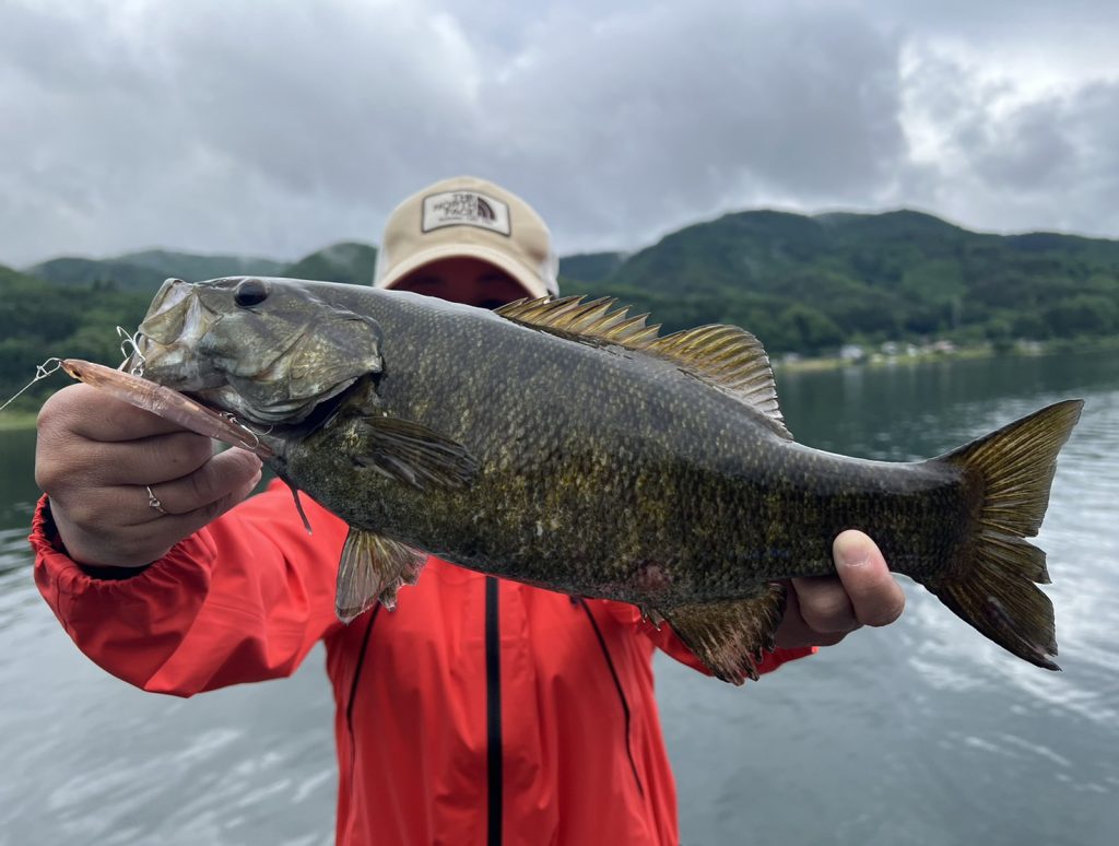 木崎湖バス釣果情報　6/1