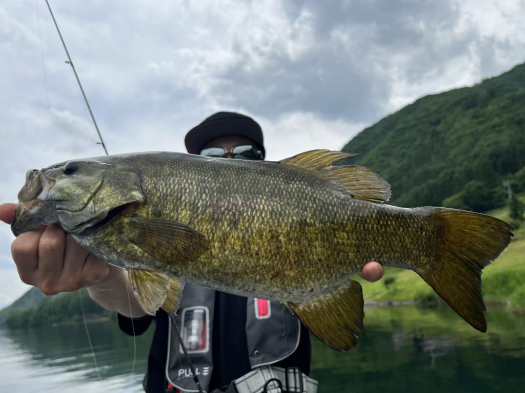 木崎湖バス釣果情報　6/16