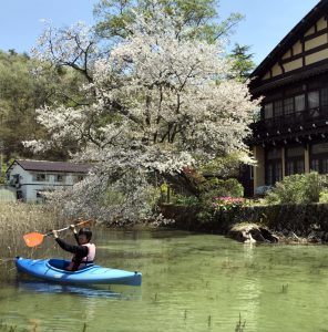 木崎湖カヤック桜