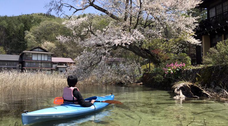 木崎湖カヤック桜