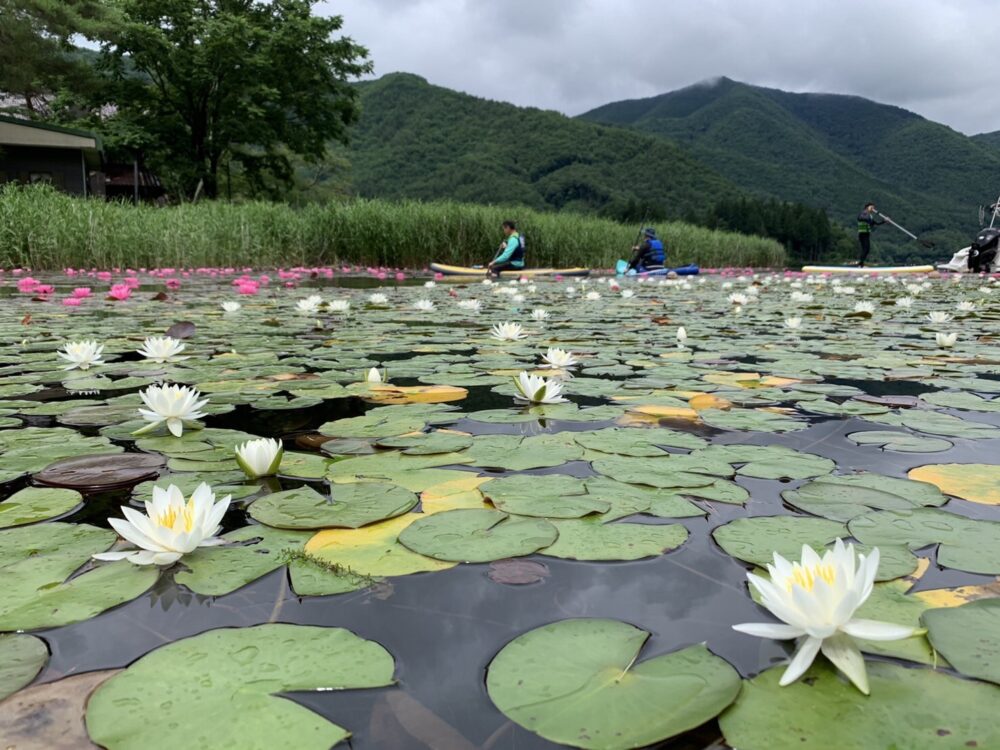 木崎湖でSUP（サップ）を満喫！持ち込みプランでマイSUPを湖面に浮かべよう