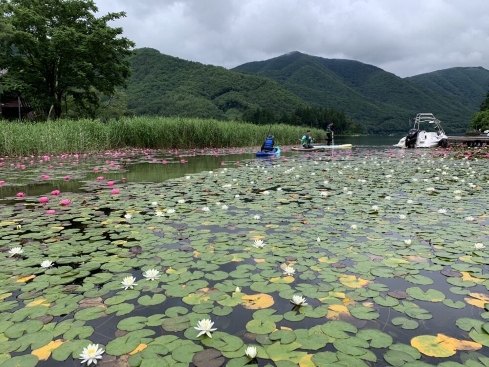 木崎湖でSUP（サップ）を満喫！持ち込みプランでマイSUPを湖面に浮かべよう