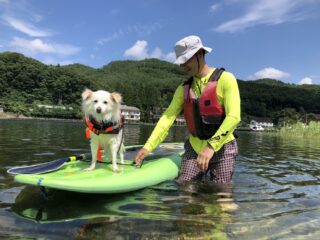 木崎湖サップ犬