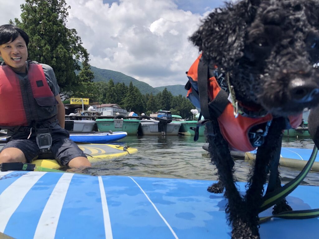 木崎湖サップ犬