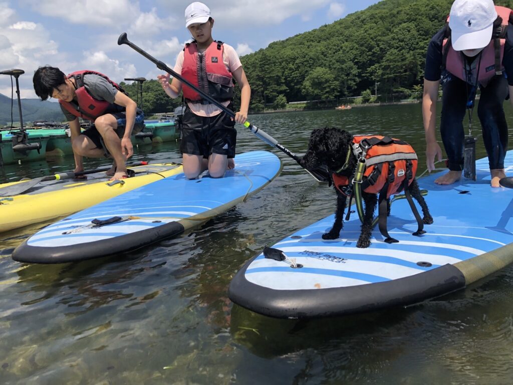 SUP(サップ)初心者 の方には白馬からも近い長野県大町市木崎湖がおすすめ