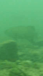 木崎湖バス釣り