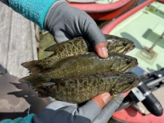 depsカップ木崎湖