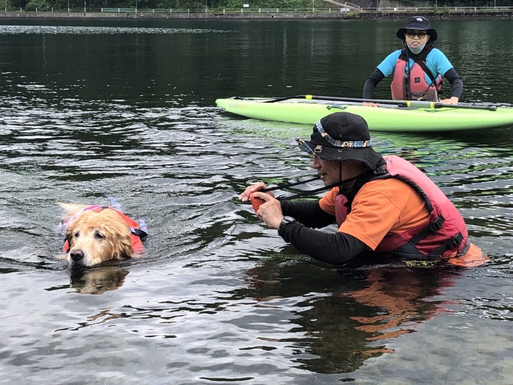 木崎湖サップカヤック犬