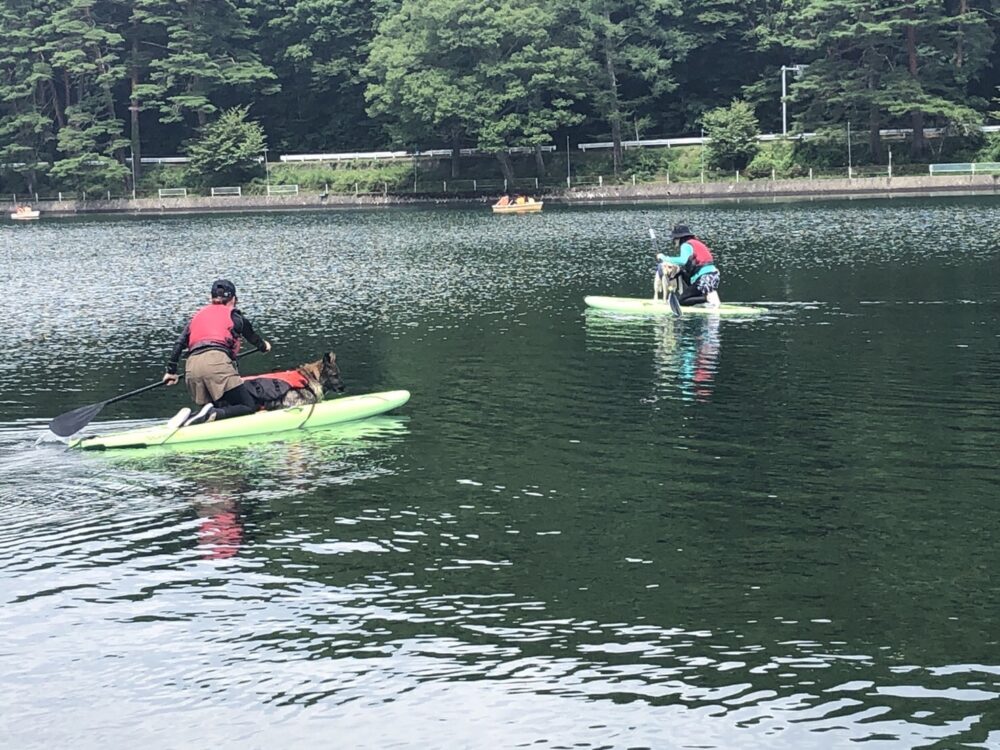 木崎湖のSUPサップを愛犬とお楽しみいただきました！