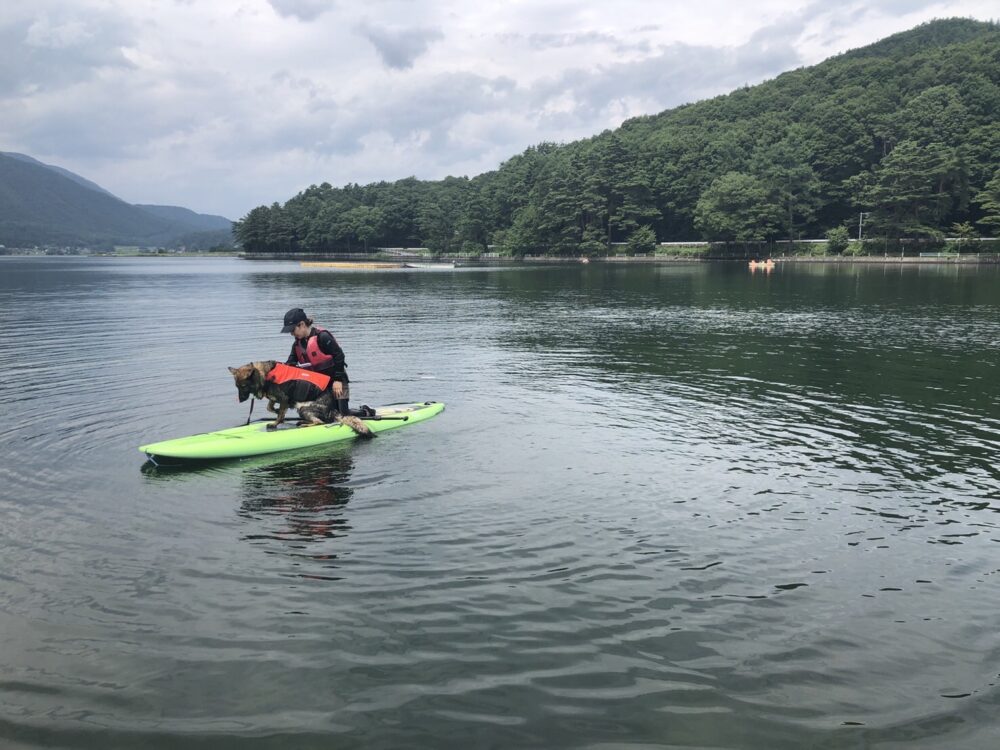 木崎湖のSUPサップを愛犬とお楽しみいただきました！