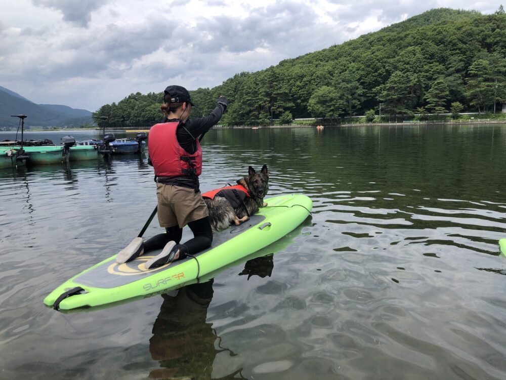 木崎湖のSUPサップを愛犬とお楽しみいただきました！