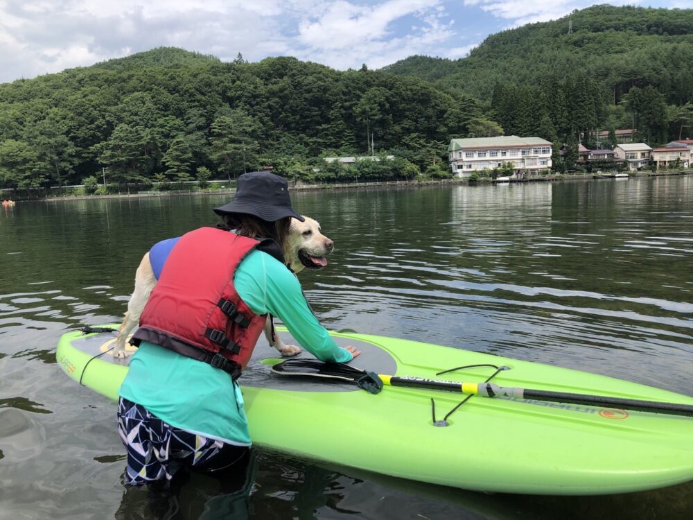 木崎湖のSUPサップを愛犬とお楽しみいただきました！