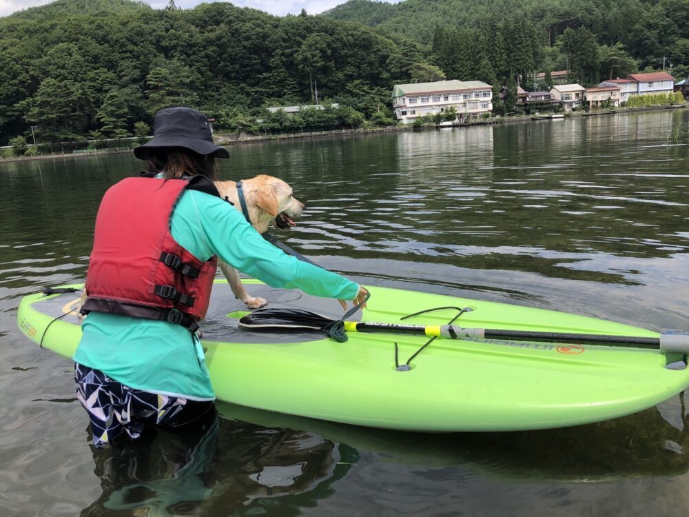 木崎湖のSUPサップを愛犬とお楽しみいただきました！