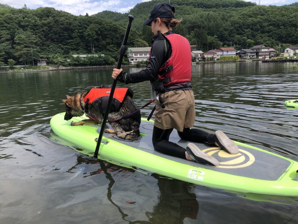 木崎湖のSUPサップを愛犬とお楽しみいただきました！