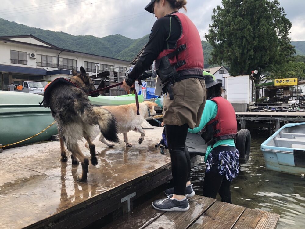 木崎湖のSUPサップを愛犬とお楽しみいただきました！